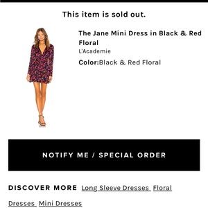 L’academie dress brand new with a tag still attached. Retail price 200$